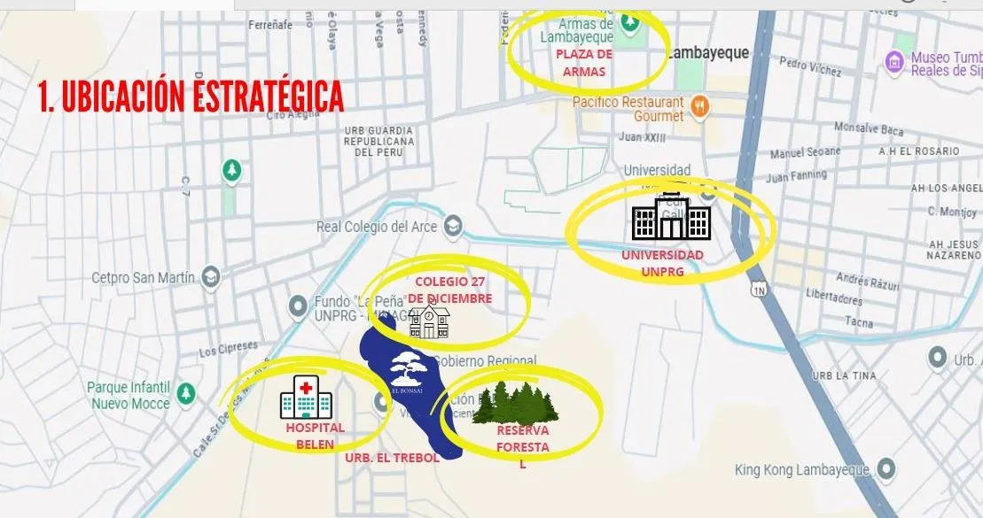 Mapa de ubicación de El Bonsai
