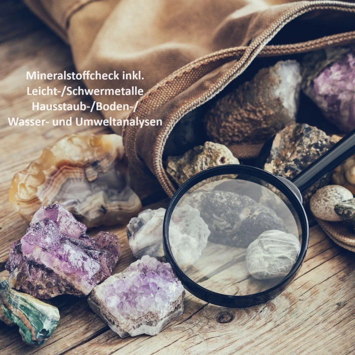 Schadstoff- und Mineralcheck