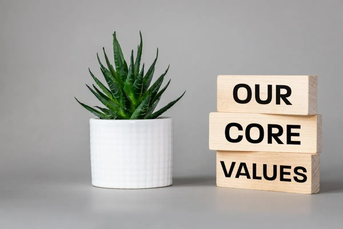 Aloe plant beside wooden blocks stating 'Our Core Values' on neutral backdrop.