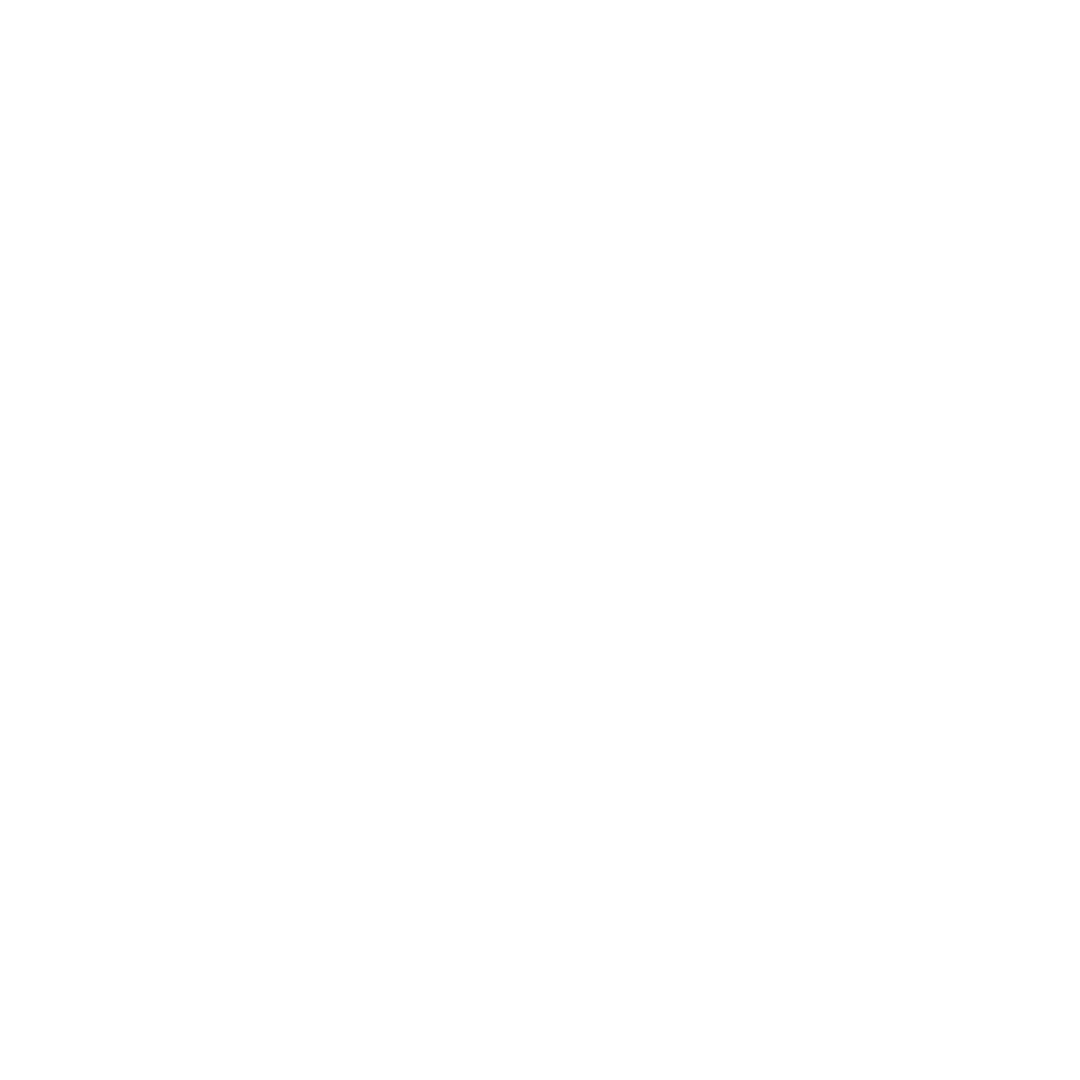 Icon displaying STEAM