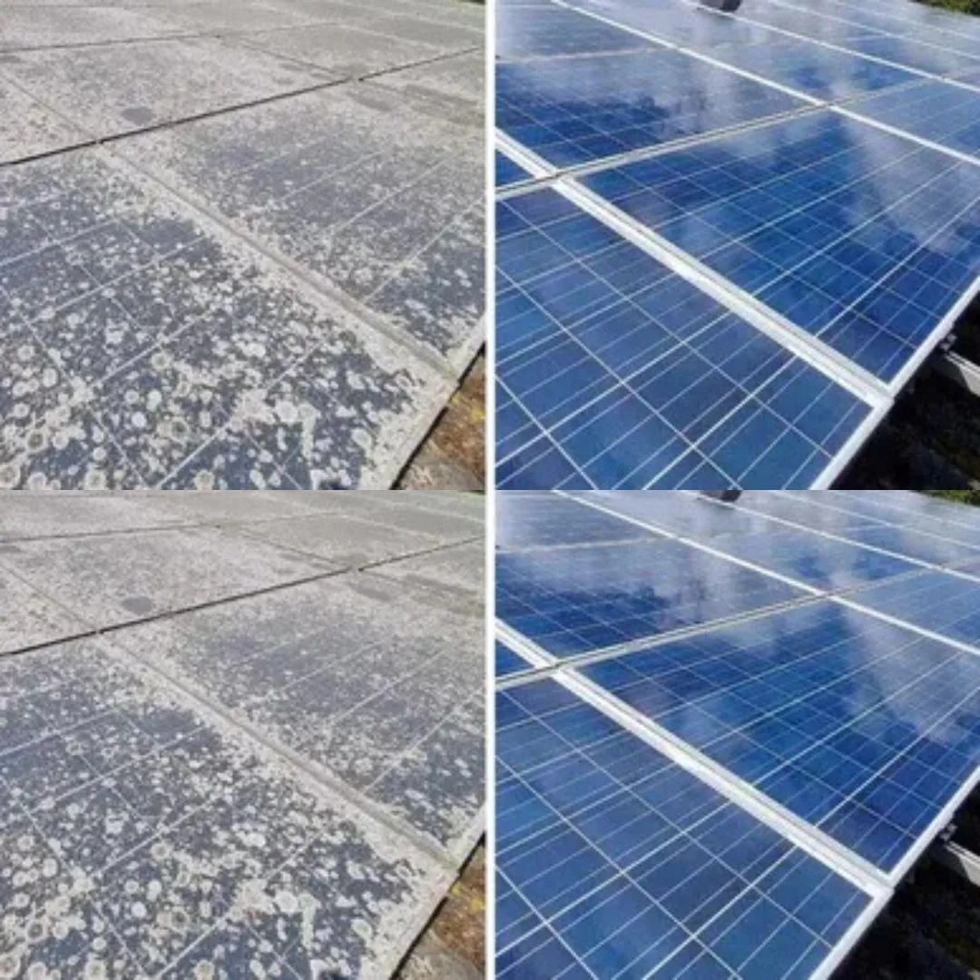 Commercial window cleaning service San Antonio - technician cleaning modern office building exterior windows with professional equipment