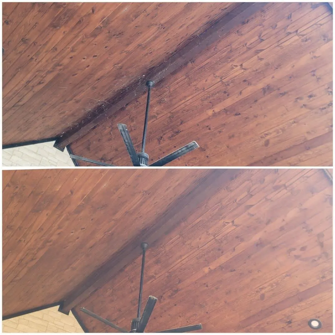 Before and after cobweb removal by Shinetime Solutions showing covered patio ceiling transformed from web-filled to spotless