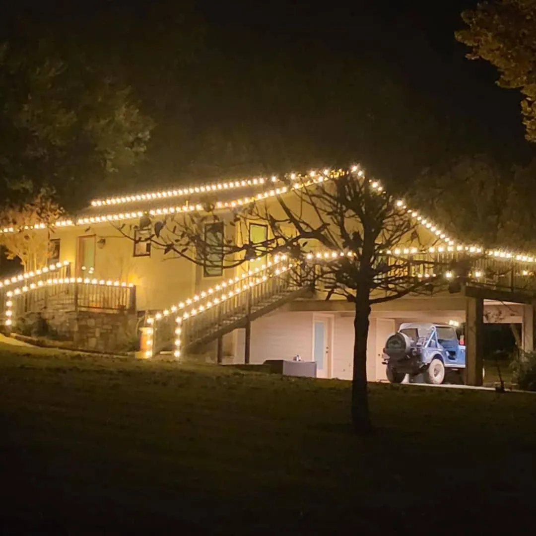 Professional Christmas light installation by Shinetime Solutions featuring illuminated tree wrapping and roofline holiday lighting