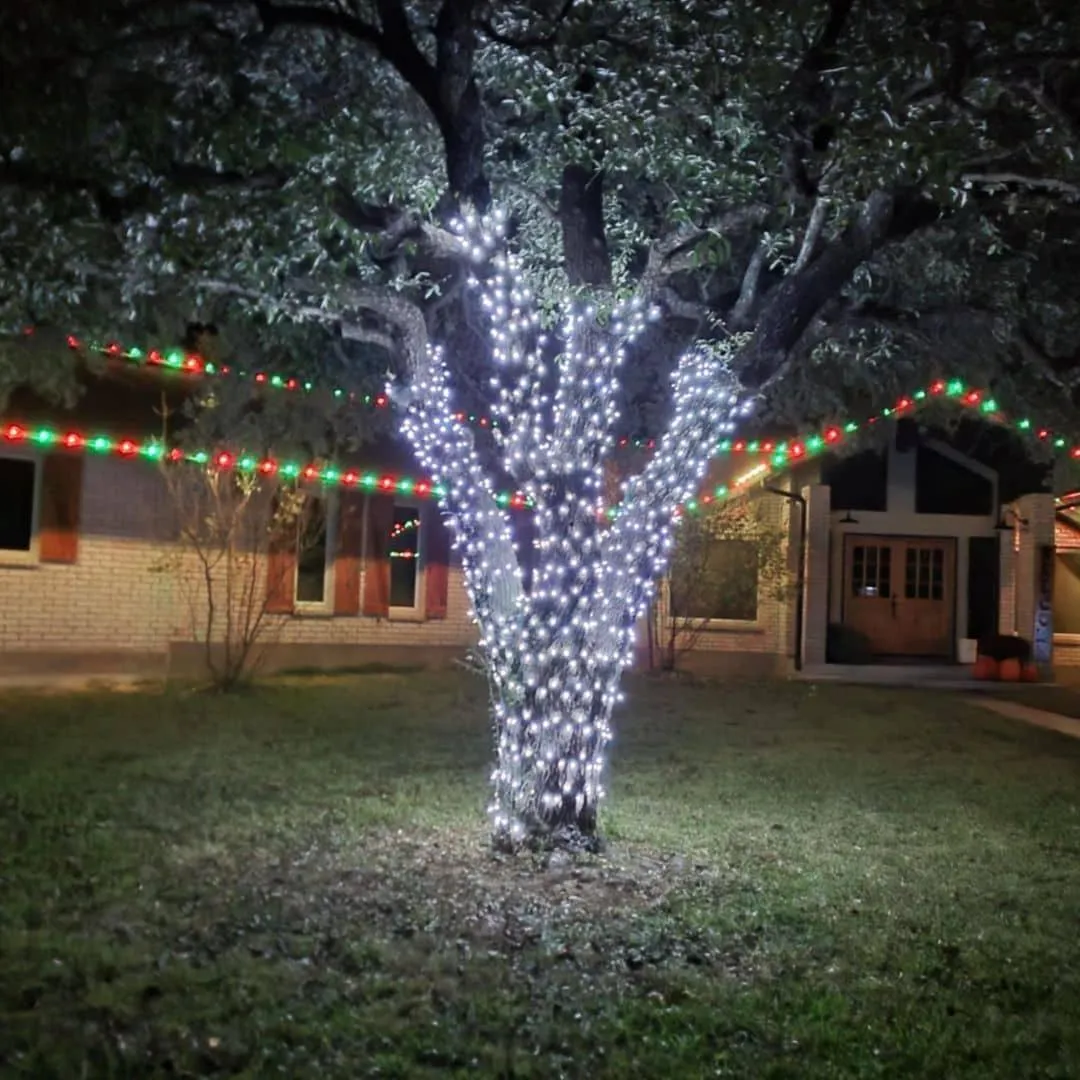 Holiday lighting service by Shinetime Solutions showing spectacular tree light display with coordinated house Christmas decorations