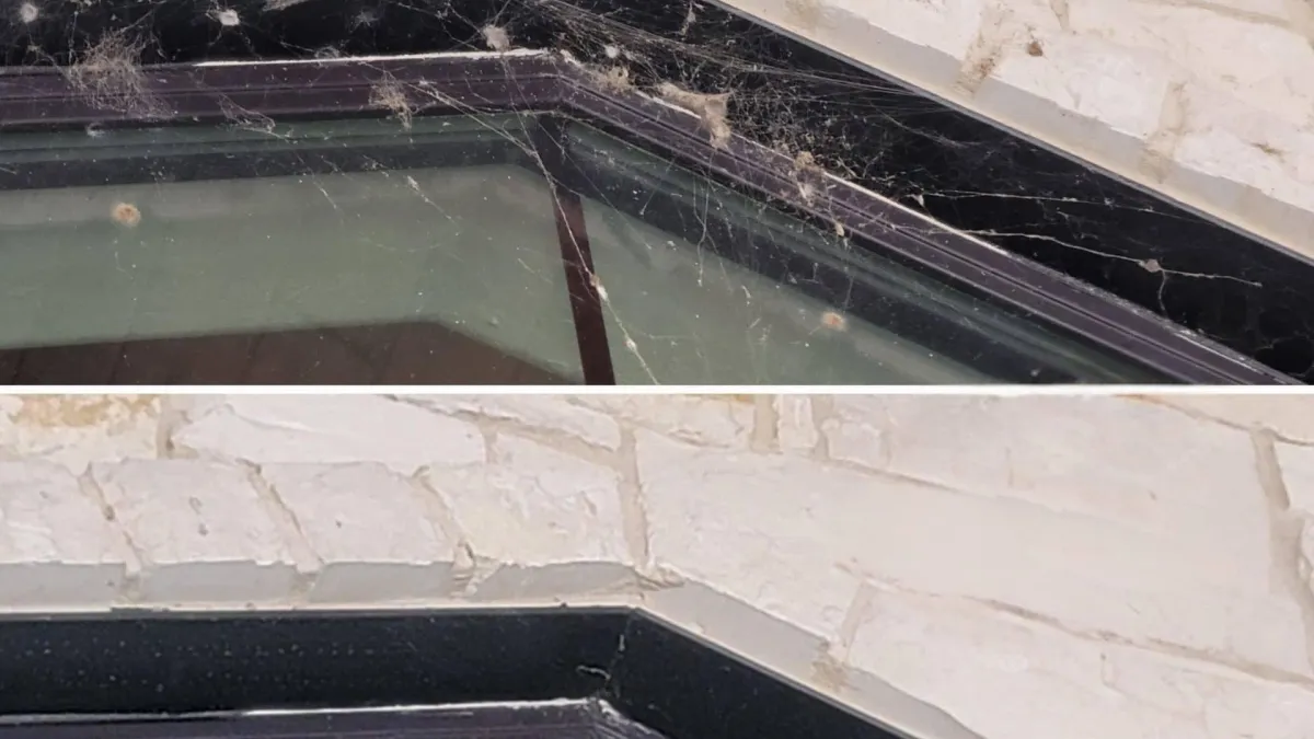 Before and after cobweb removal by Shinetime Solutions showing covered patio ceiling transformed from web-filled to spotless