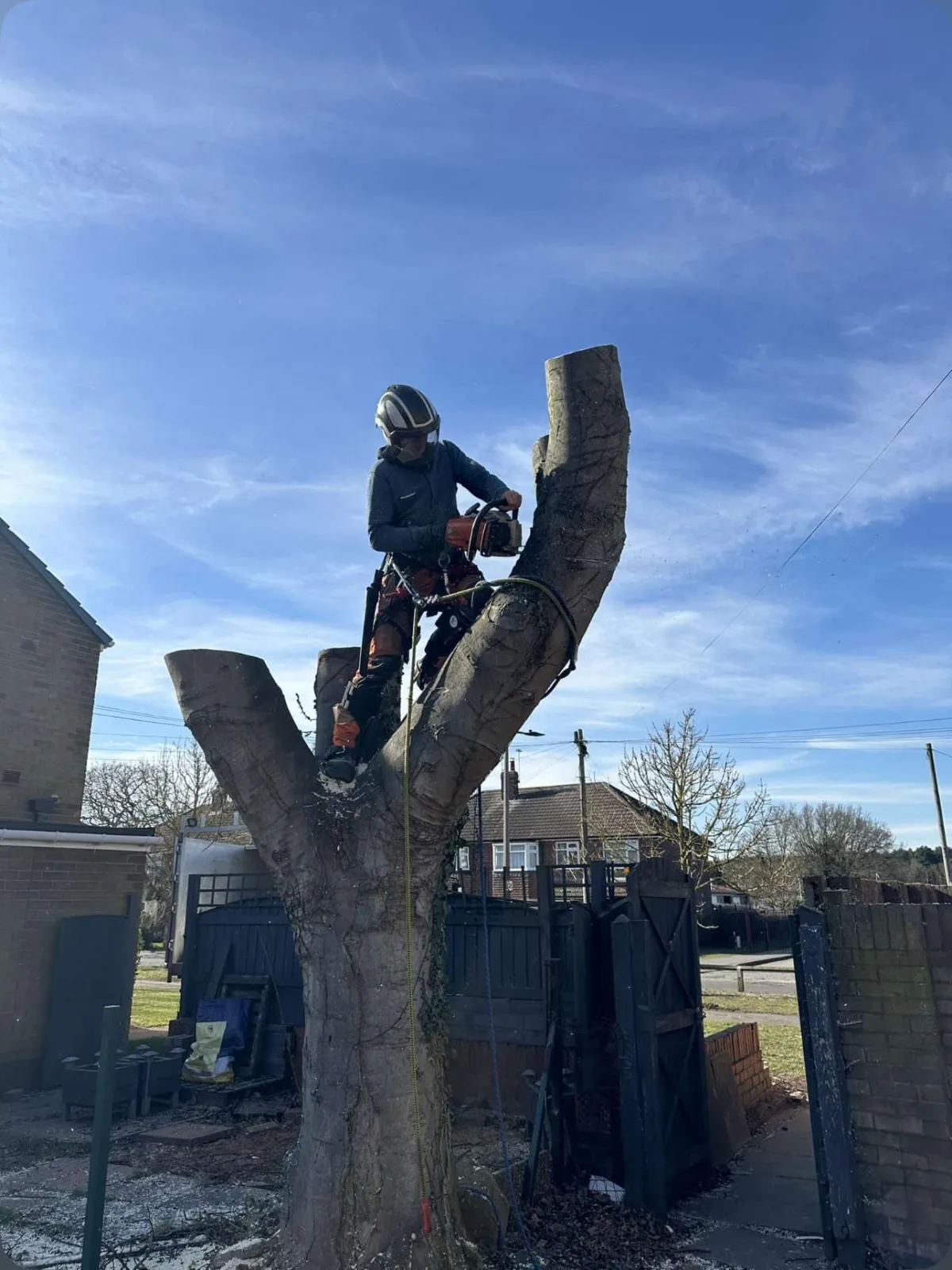 tree surgeon at work in South Yorkshire