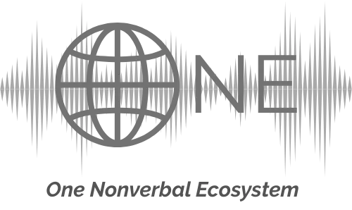 Roots of Connection. NeuroGraphics with Tatiana Teppoeva, PhD