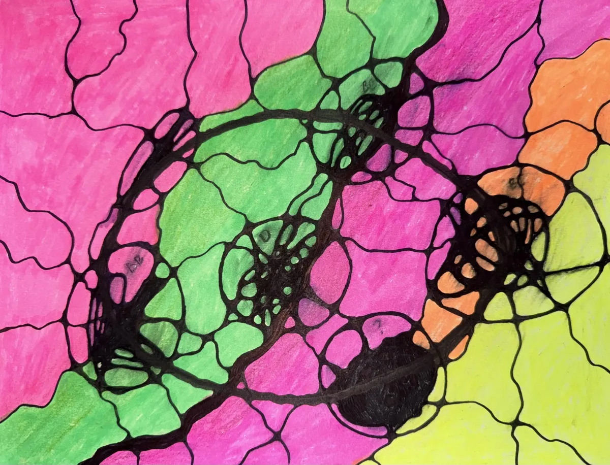 Roots of Connection. NeuroGraphics with Tatiana Teppoeva, PhD