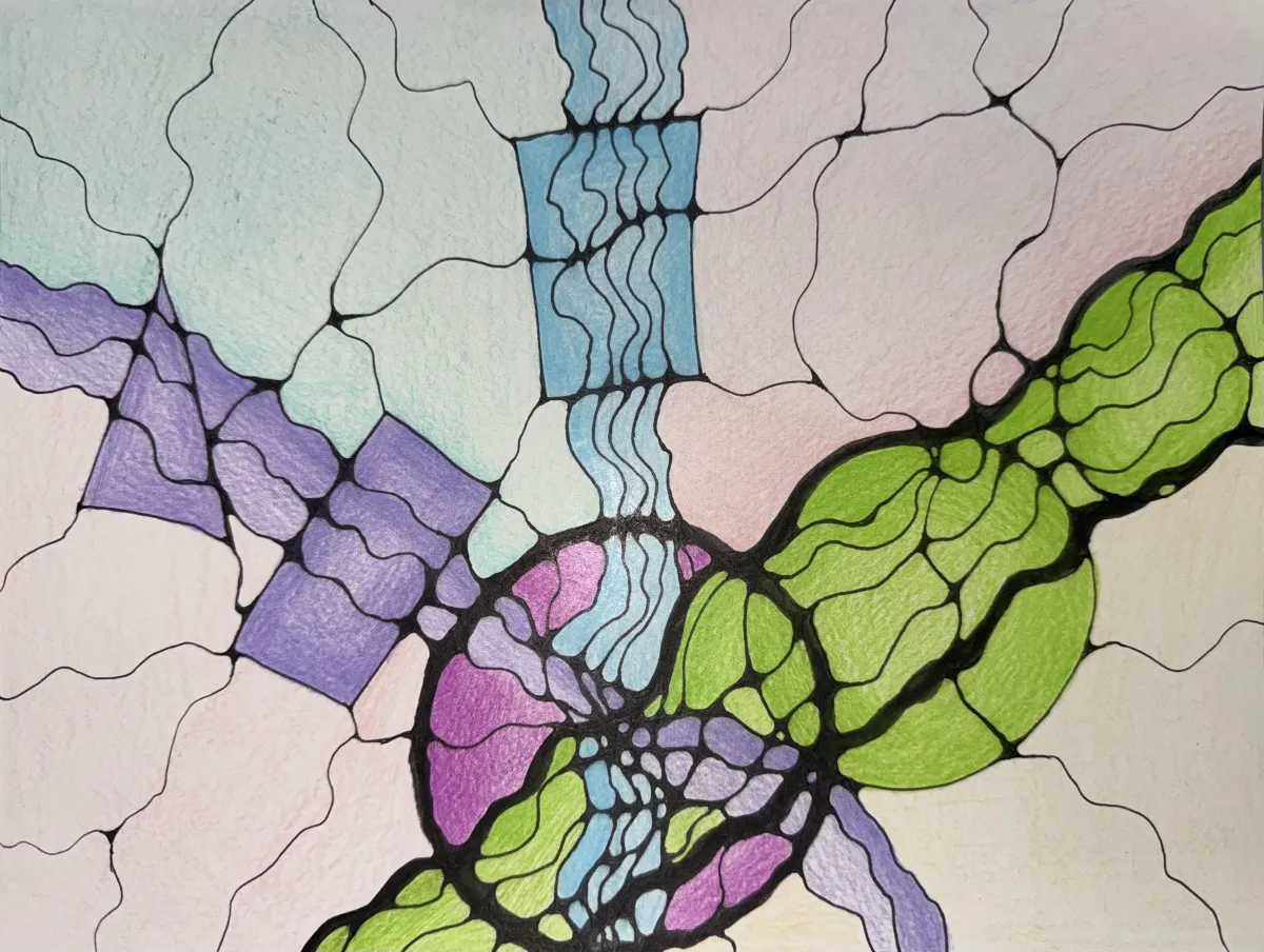 Roots of Connection. NeuroGraphics with Tatiana Teppoeva, PhD