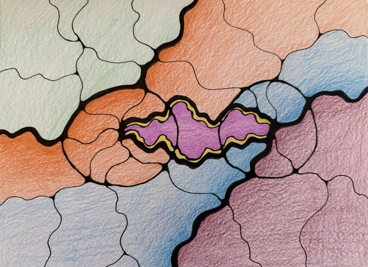 Roots of Connection. NeuroGraphics with Tatiana Teppoeva, PhD
