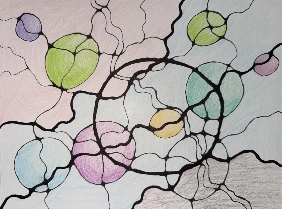 Roots of Connection. NeuroGraphics with Tatiana Teppoeva, PhD