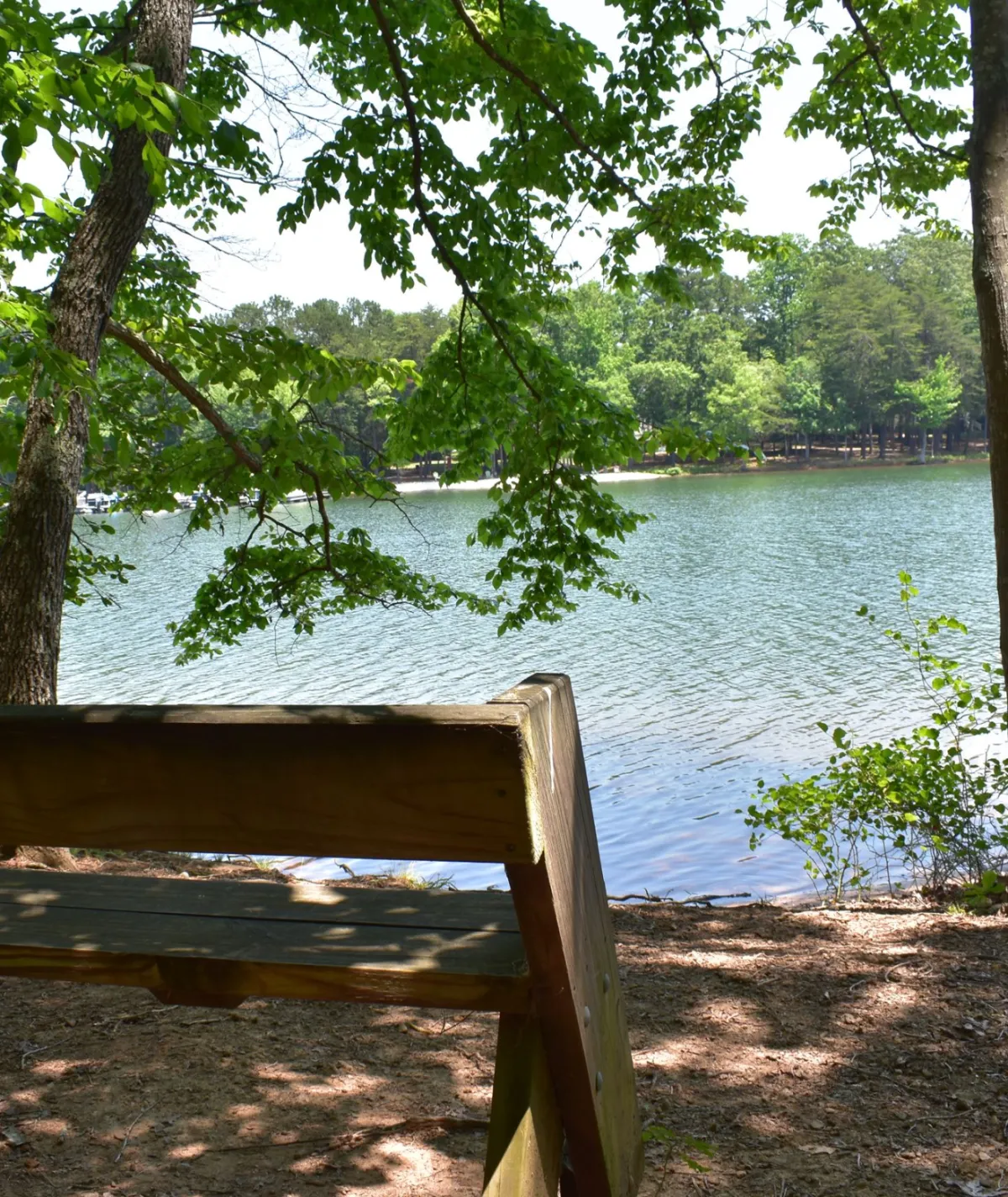 Lake Davidson Nature Preserve