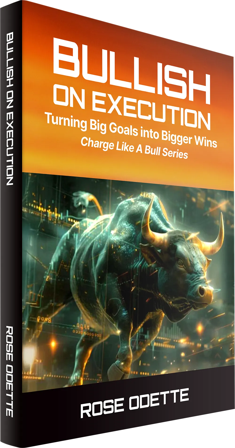 Bullish on Execution Book Cover