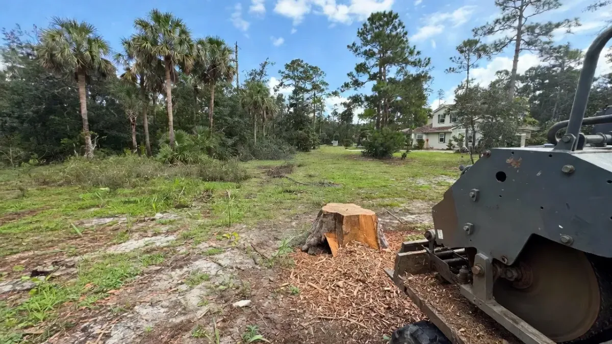 Stump grinder removing tree stump on partially cleared residential property in Fort Myers, Florida sunny daylight