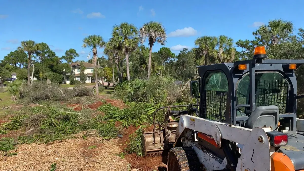 Professional brush clearing in Fort Myers residential yard – skid steer mulching dense palmettos and brush with palm and pine trees