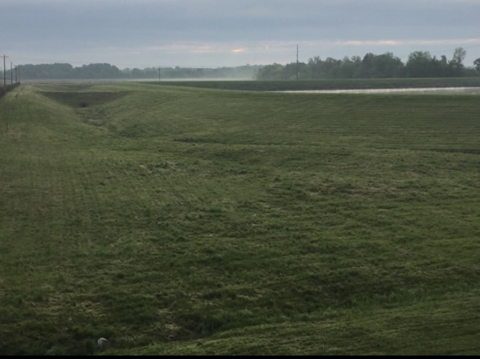 Mowed stormwater slope after maintenance