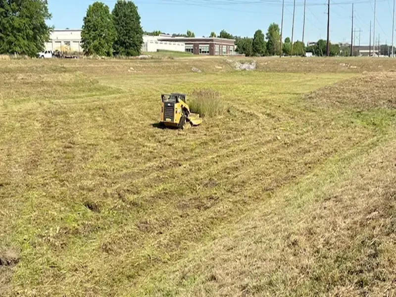 Forestry mulching equipment clearing land SC