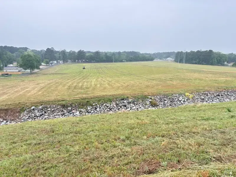 Stormwater basin slope after maintenance and clearing