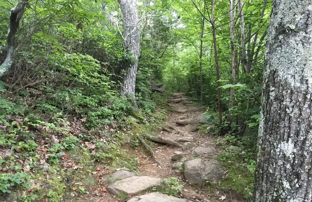 silhouette of mountain during sunset