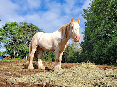 Buying A Home Goodview