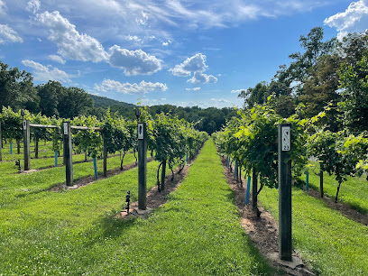 Buying A Home Goodview