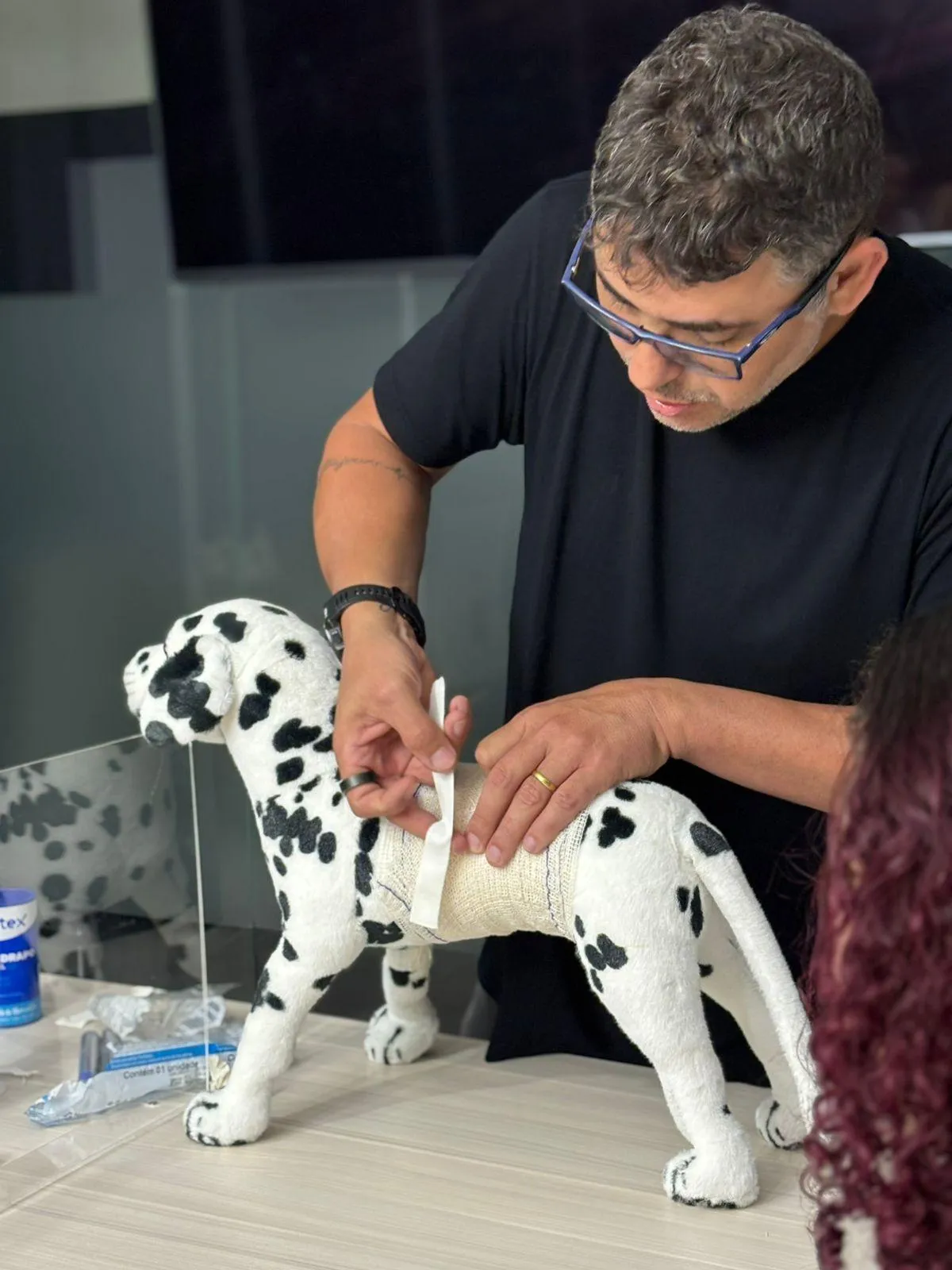 Dr. Rodrigo Sathler é o professor responsável pelas aulas e o único docente do EFA VET formado em Medicina Veterinária