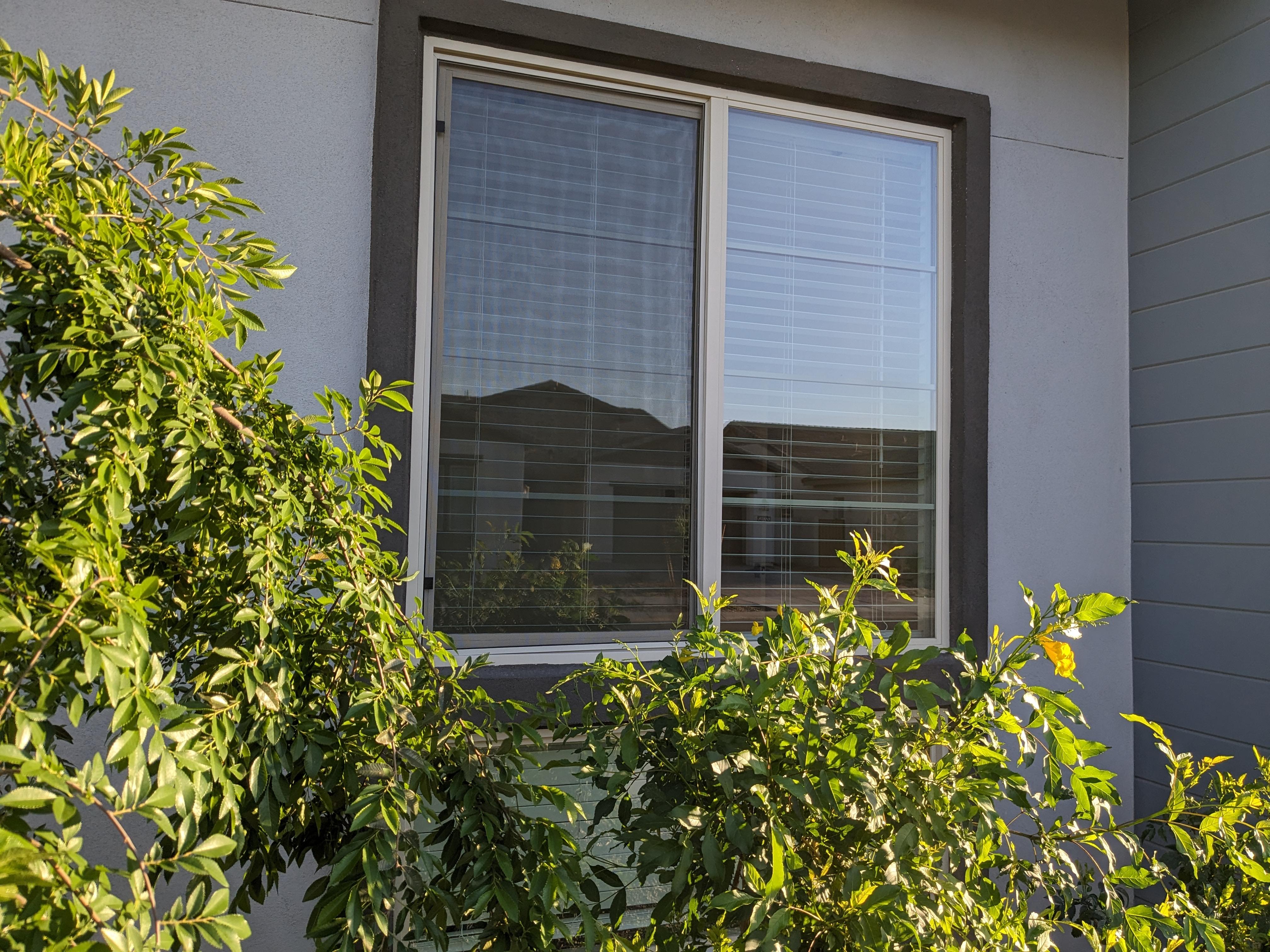 Residential Window Cleaning in Mesa
