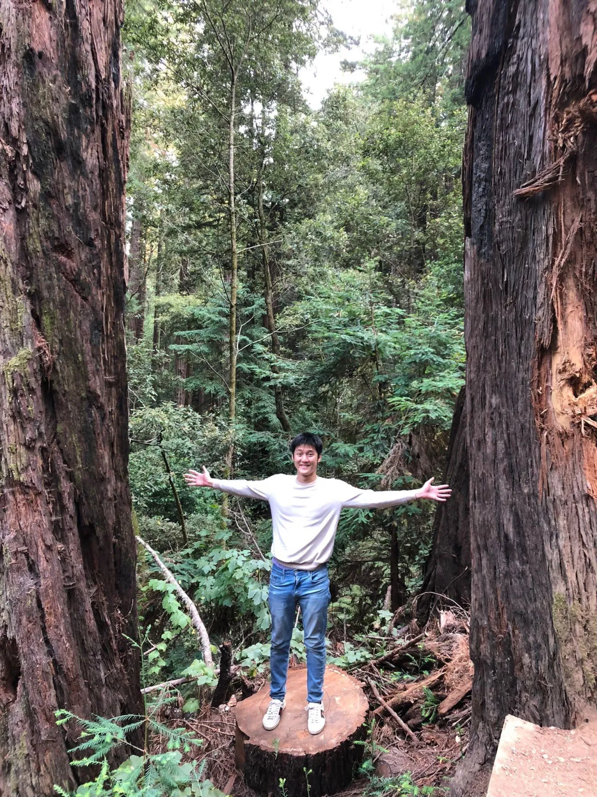 Alaric Ong at muir woods national monument