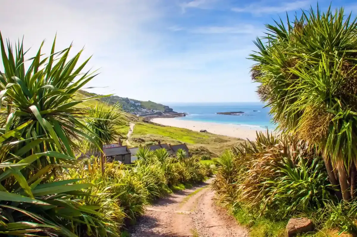 A sandy coastal path leading down through lush subtropical foliage towards the golden sands and blue sea of a Cornish beach, with the village of St Ives visible in the distance.