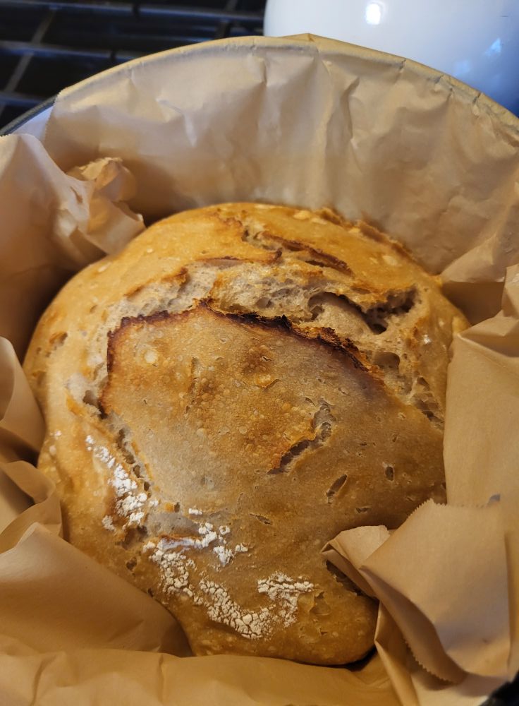 A dirt road in the middle of a forest