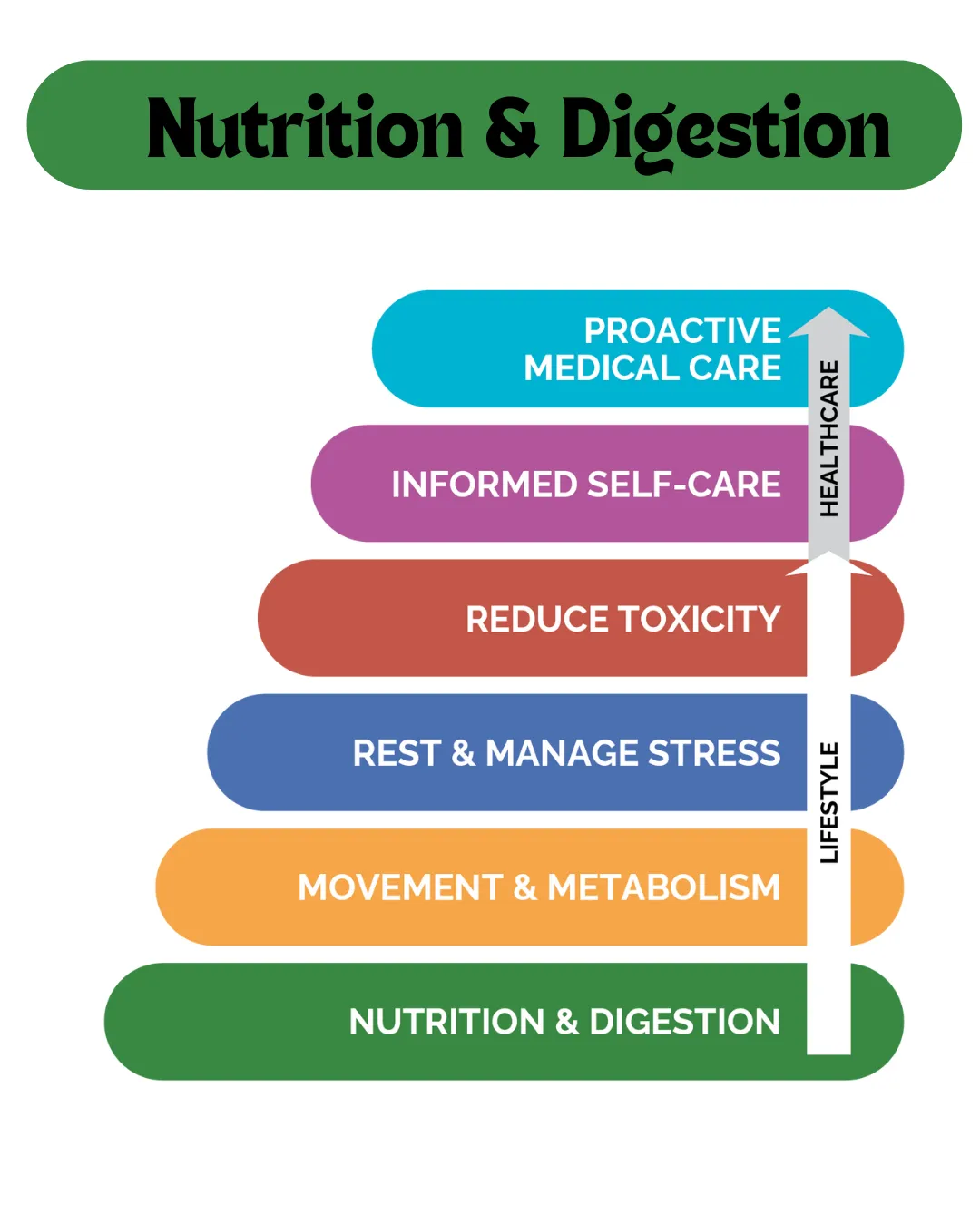 a set of steps leading through a forest