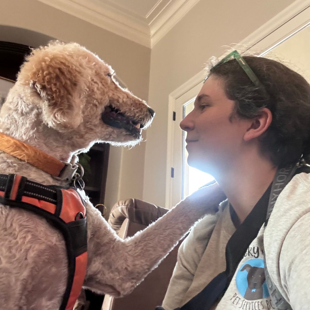 Why More BCS Pet Parents Are Choosing One Trusted Service Over a Rotating Cast of App Strangers