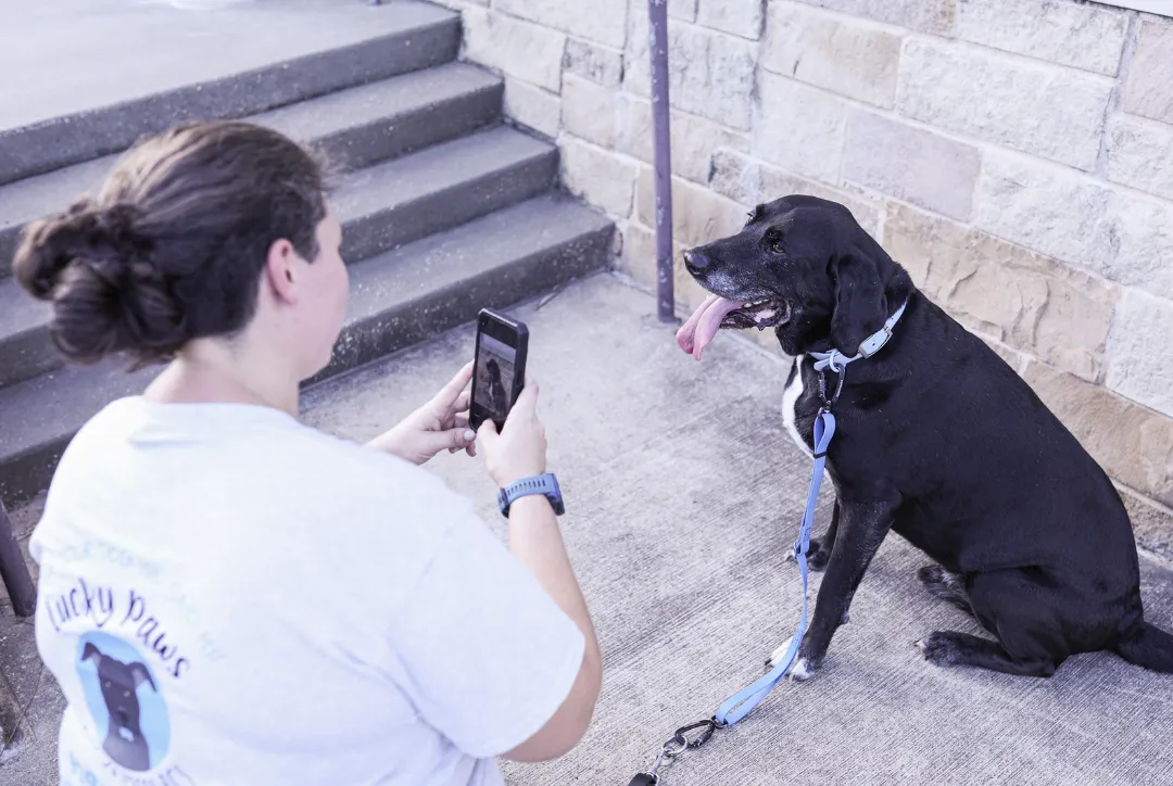 The Importance of Professionalism in Pet Care: What to Expect From Your Lucky Paws BCS Sitter