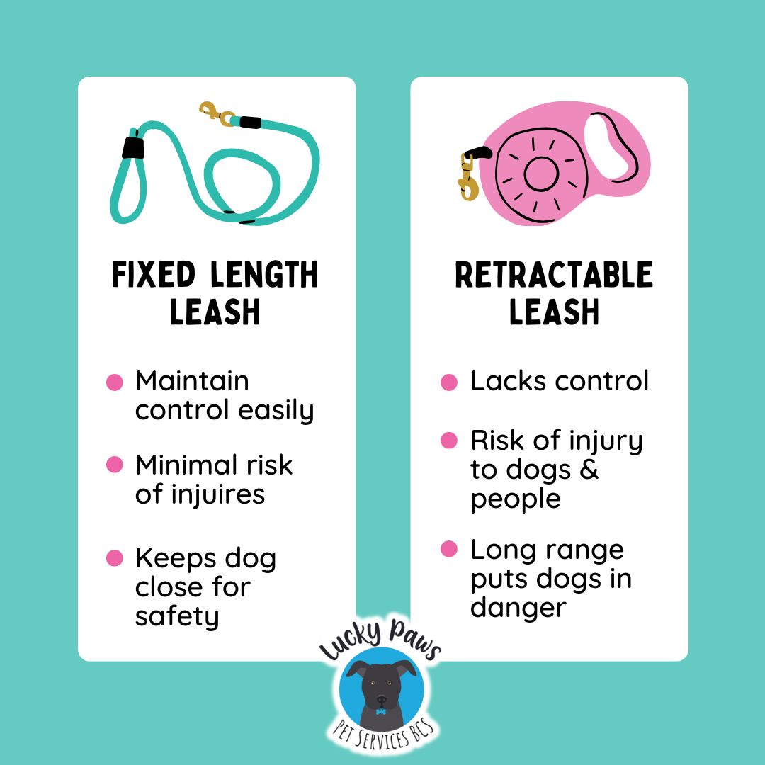 The Leash Lowdown: Fixed vs. Flexi — Choosing the Right Leash for Your Dog