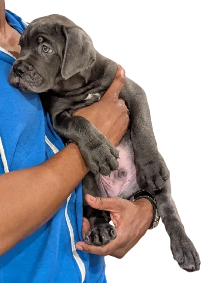 person holding smartphone beside tablet computer