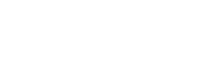 OVM Finance Group