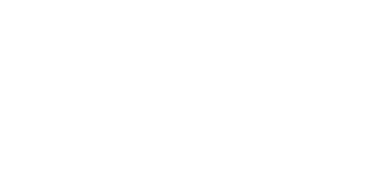 Puerto Data SRL logo
