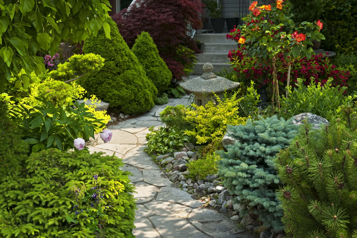 Landscape Design and Installation Watchung