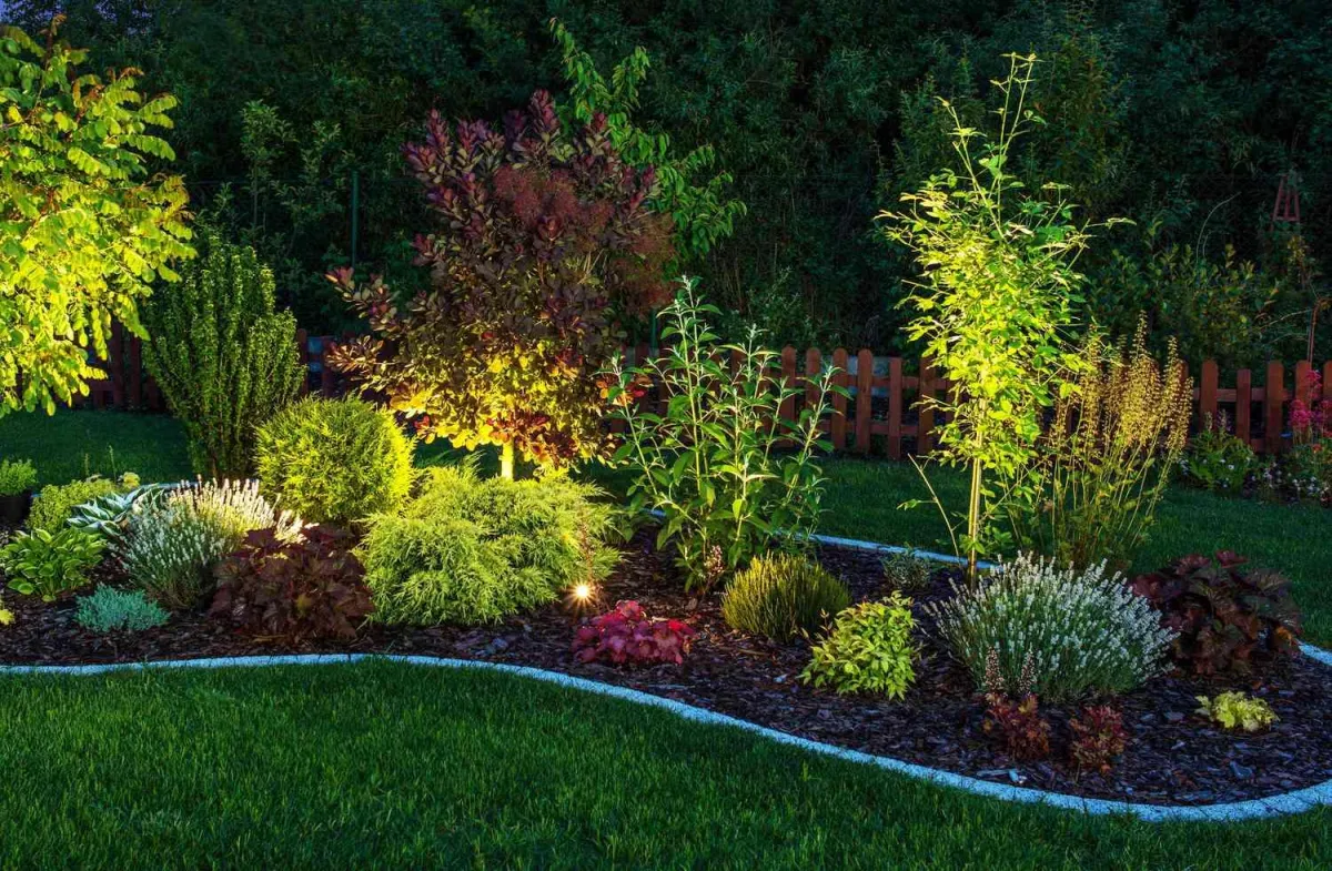 landscape design and installation, newly landscaped garden with lighting