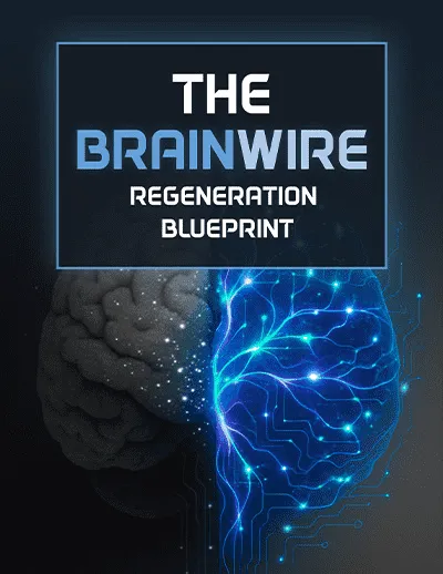 Audifort The Brainwire Bounces 2