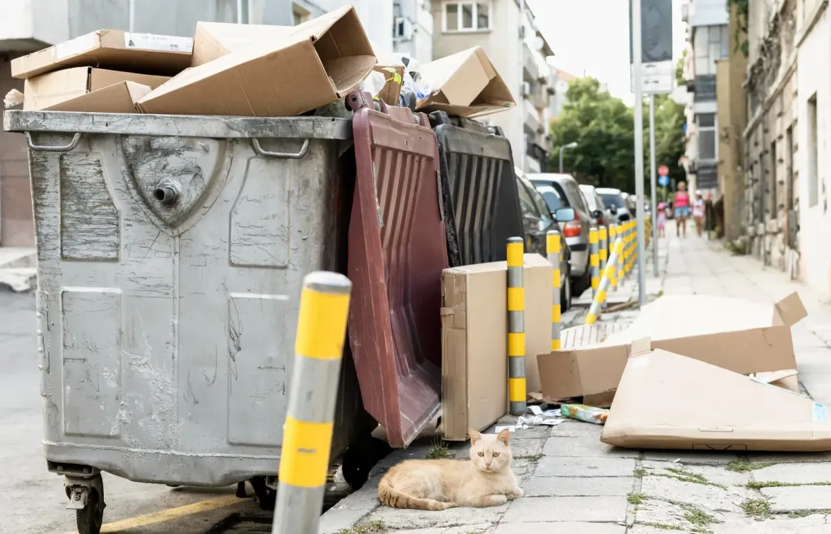 Residential Junk Removal in 