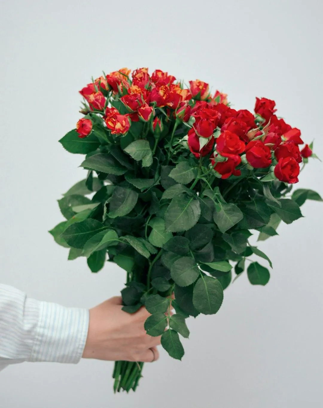 person holding flowers