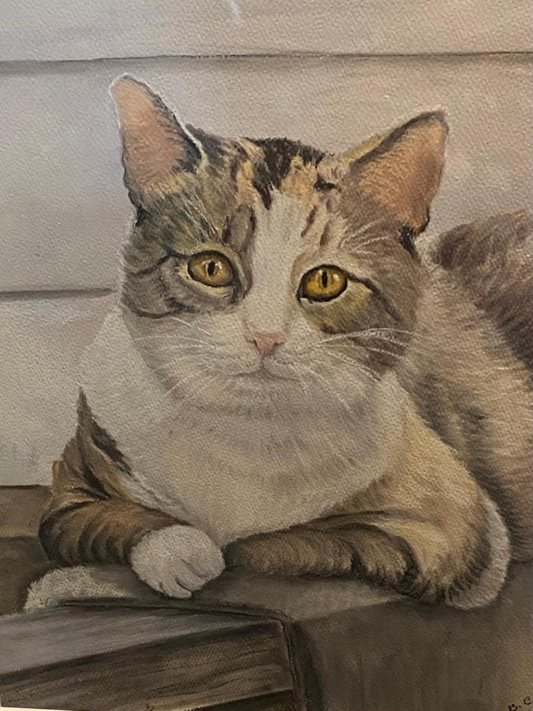 Watercolor portrait of cat by Carol Hilleary at Gallery Eleven.