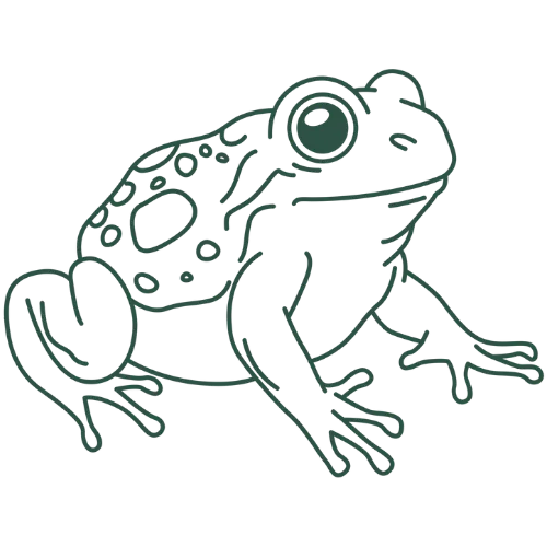 Emerald Toad