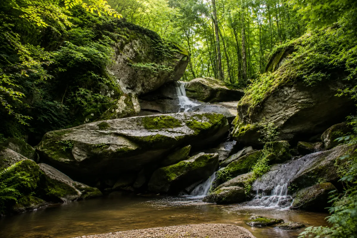 Morning meditation and land connection at Haven