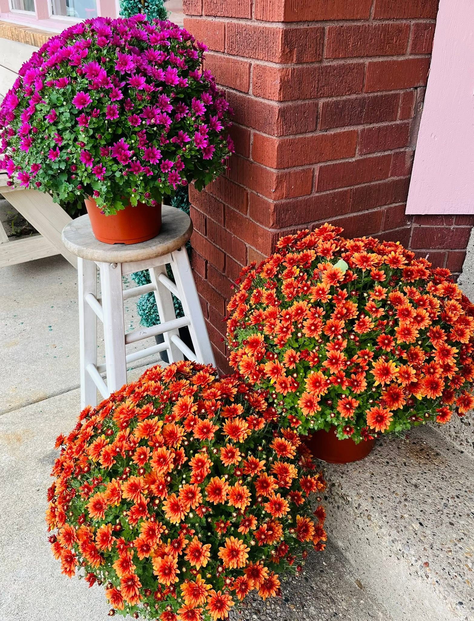 Sympathy Flowers French Lick