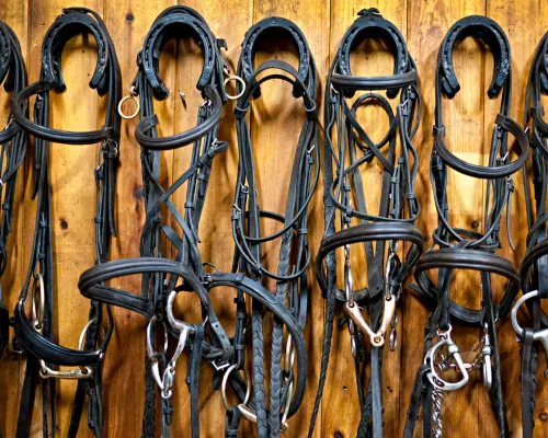 Equestrian Tack and Dressage Installations in Berks County