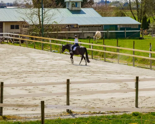 Equestrian Facility Renovations in Berks County