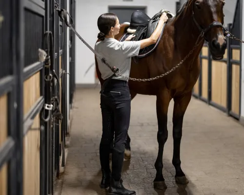 Equestrian Tack and Dressage Installations Berks County