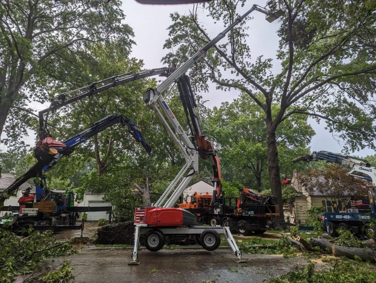 Garrison McKinney Tree Service | 24/7 Emergency Mitigation Tree Care Services | Tupelo, Mississippi